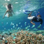 Snorkeling in Maldives: What you need to Know Before You Go